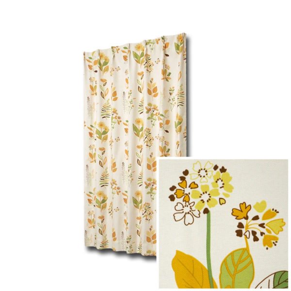 ボタニカオレンジ