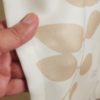 プランツモンステラブラウン