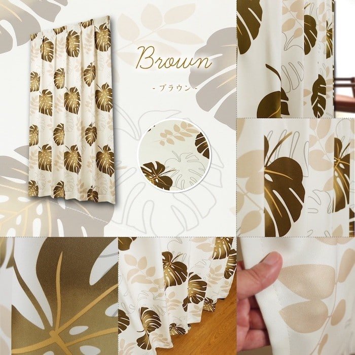 プランツモンステラ