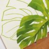 ファブリックパーテーション モンステラ
