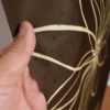 のれん ラインフラワー ブラウン