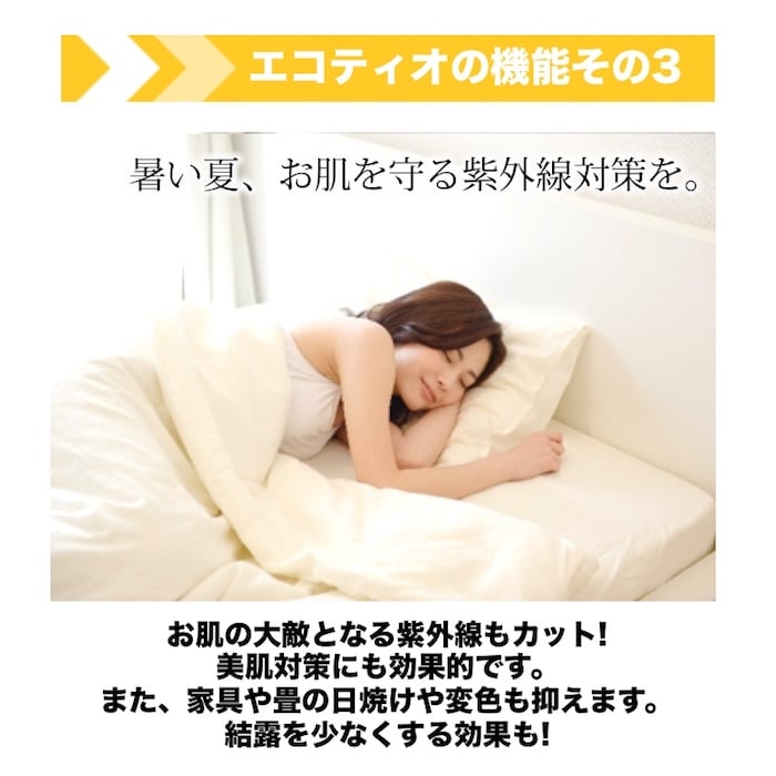 エコティオ メイン画像