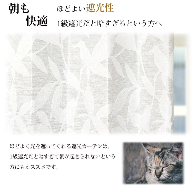 フォシル　メイン画像