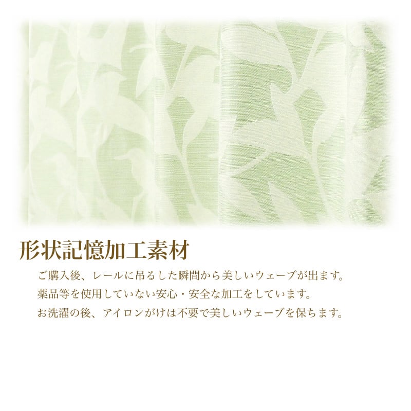 フォシル　メイン画像