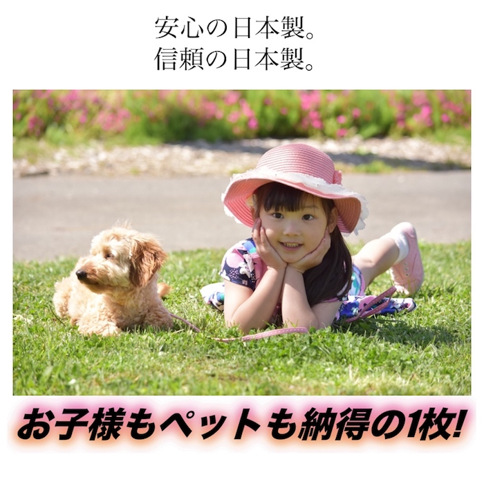 ミーシャ　メイン画像