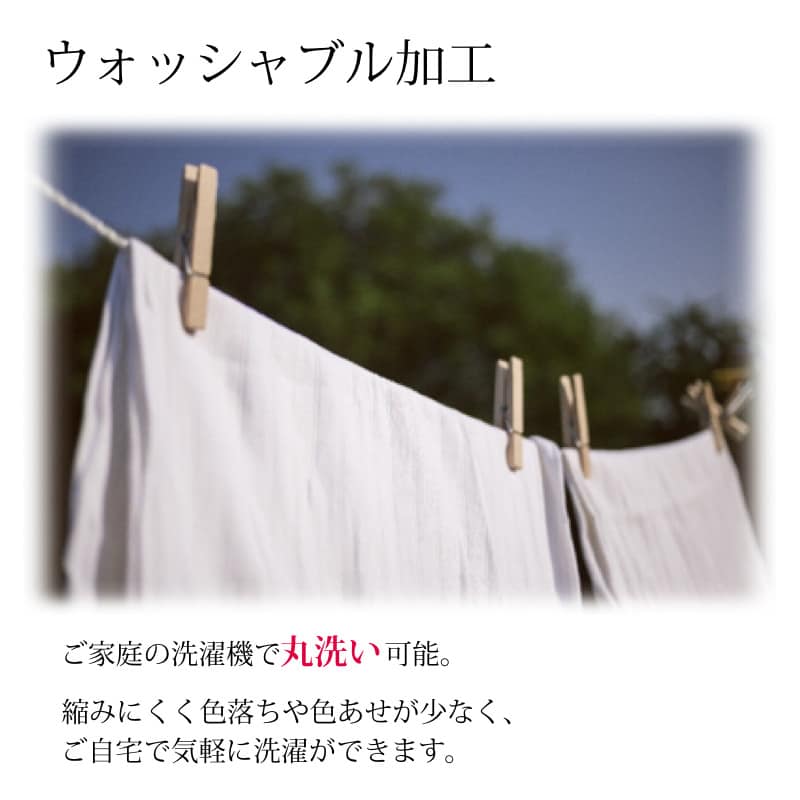 プランタン　メイン画像