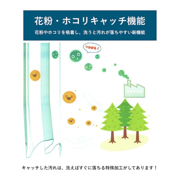 ルーツ　メイン画像