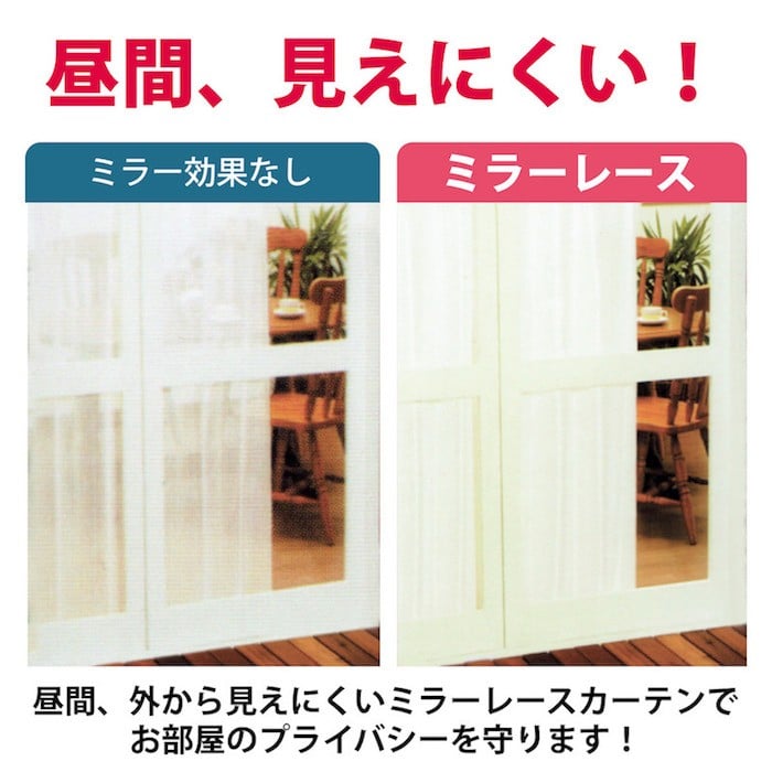 ルーツ　メイン画像