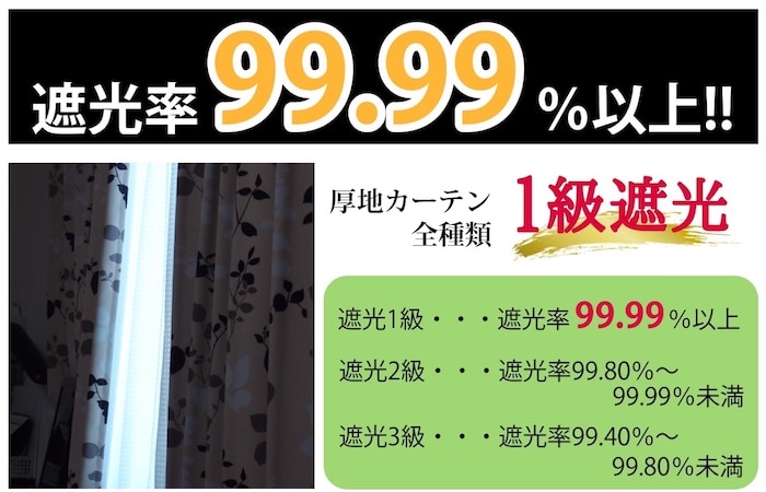 ココア　メイン画像