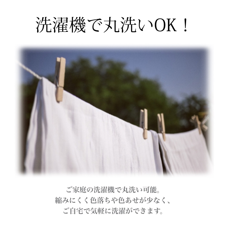 レベッカ　メイン画像